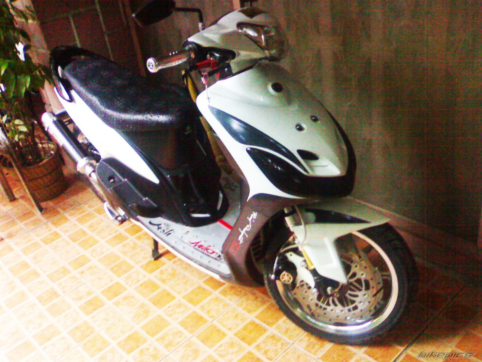 Photo 2338458
