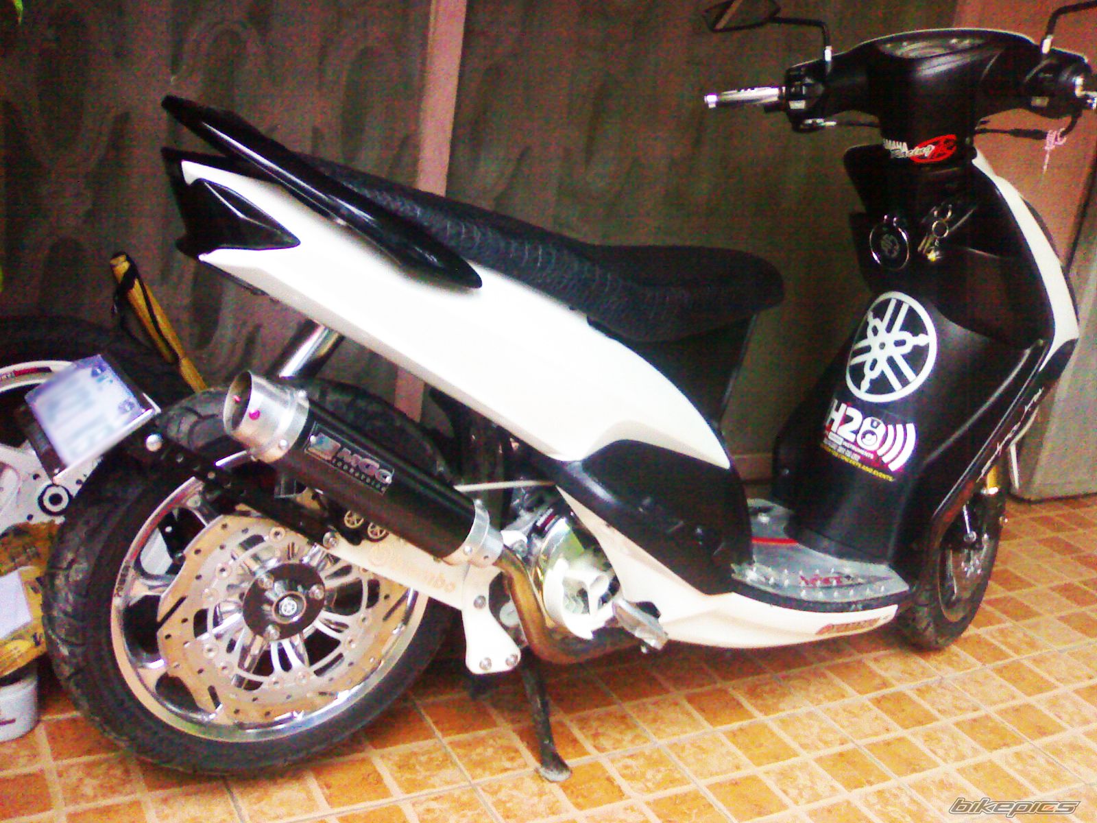 Photo 2338459
