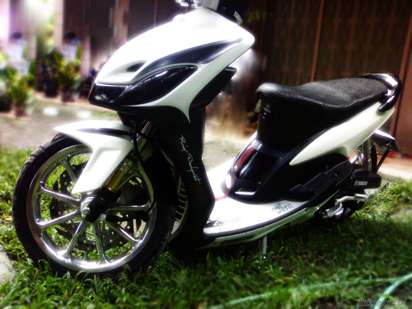 Photo 2338463