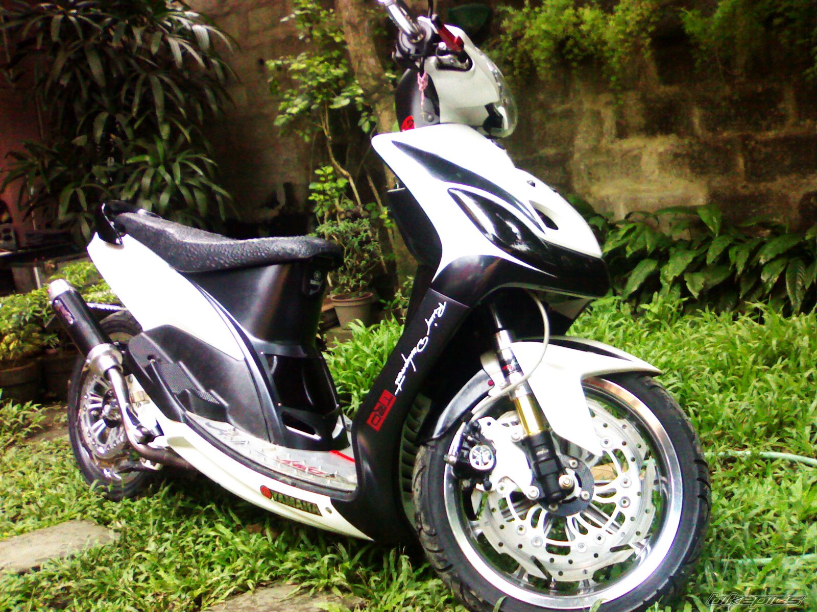 Photo 2338464