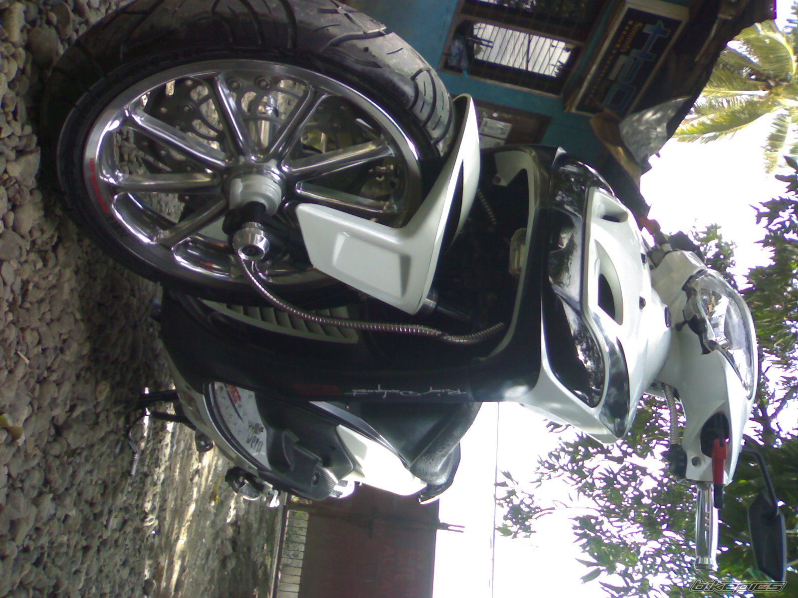 Photo 2338466
