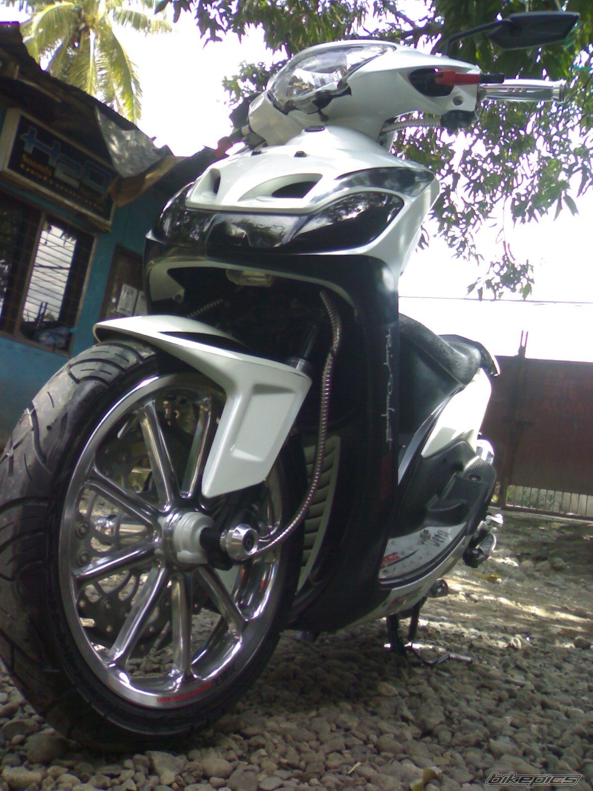 Photo 2338470