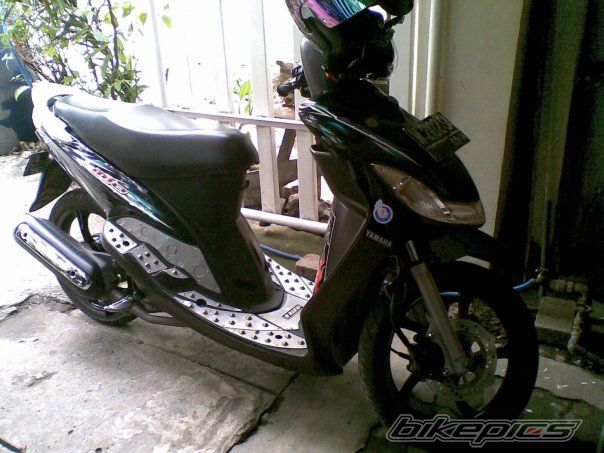 Photo 2338554