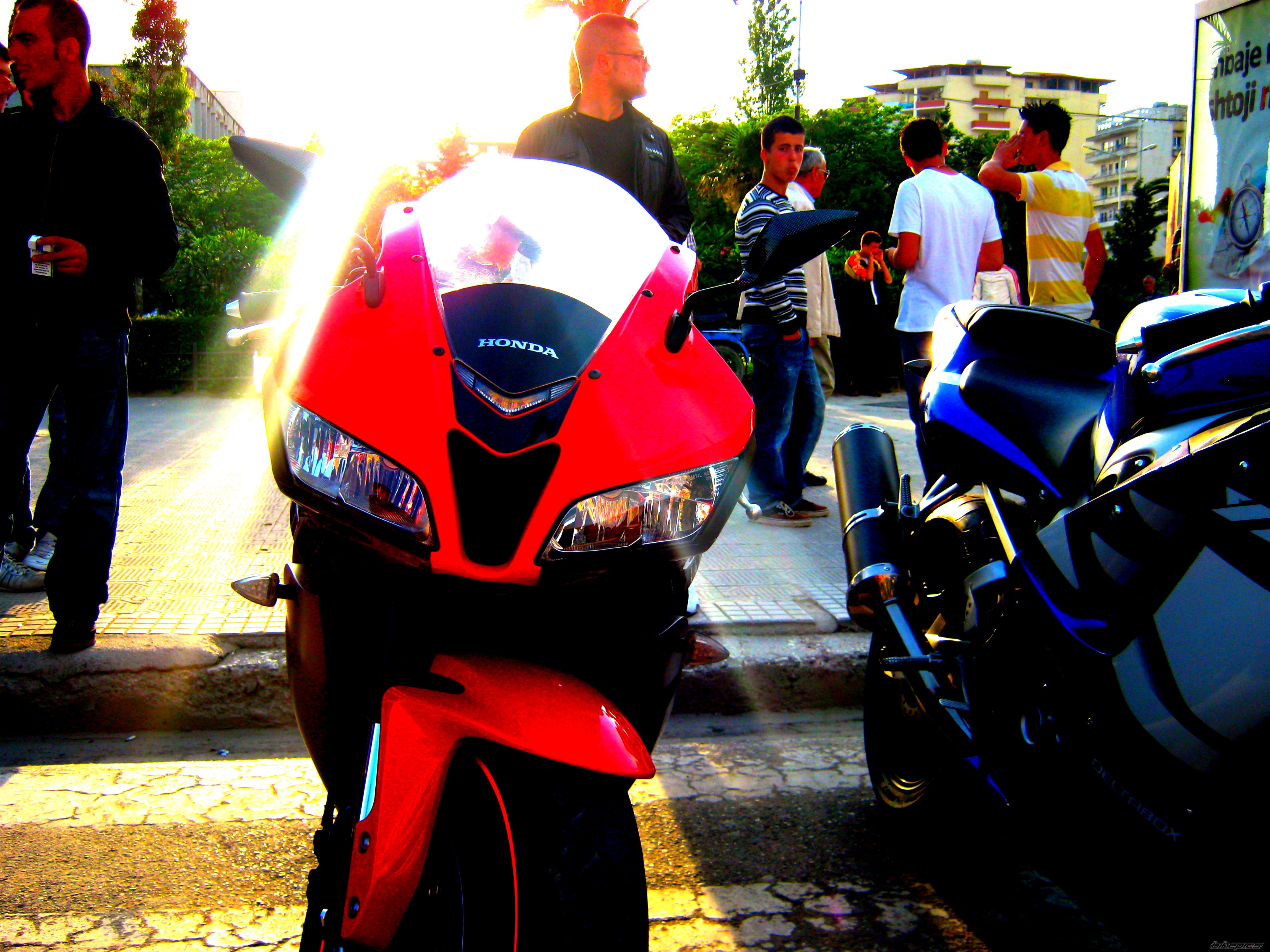 Photo 2338565