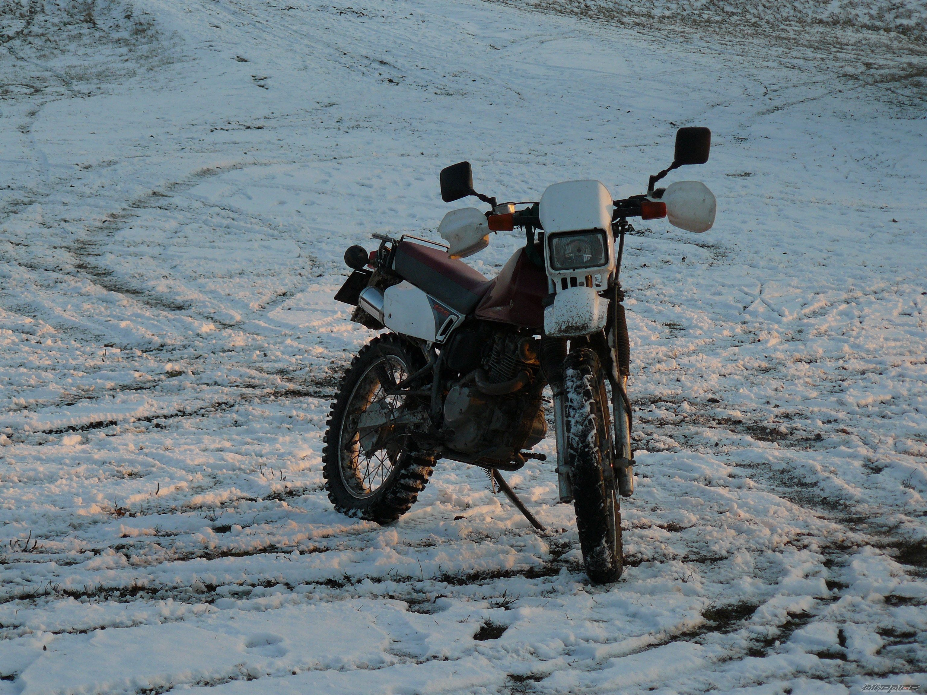Photo 2338592