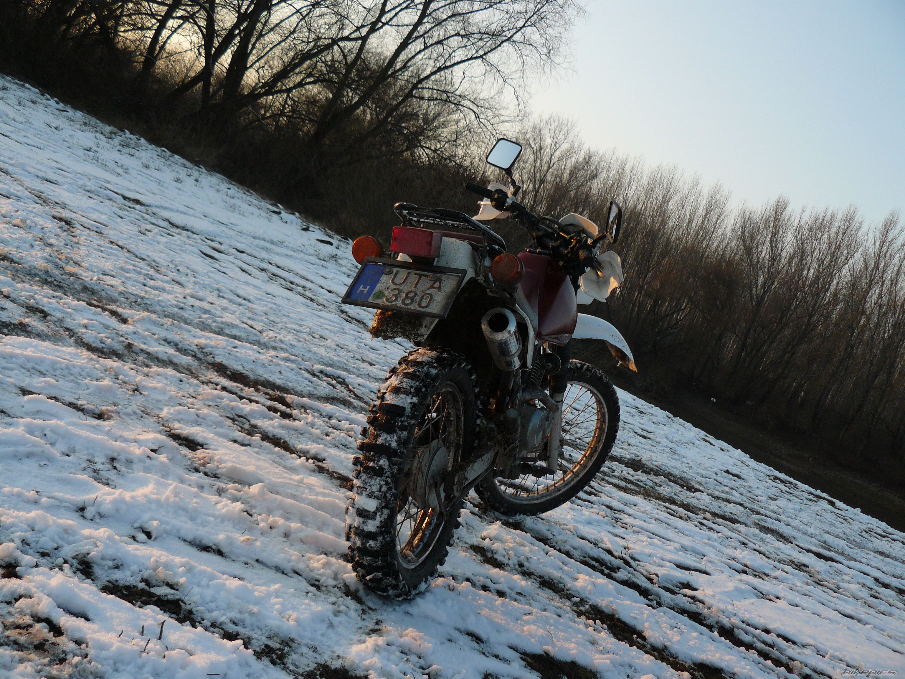 Photo 2338594