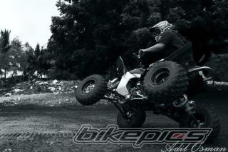 Photo 2338609