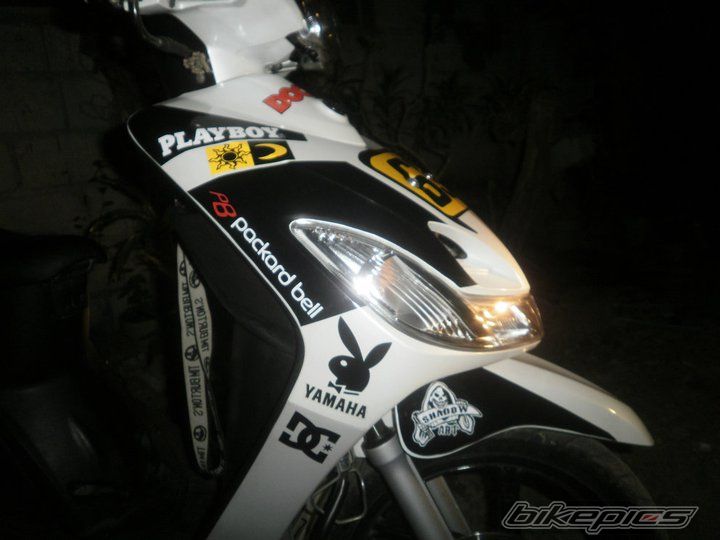 Photo 2338643