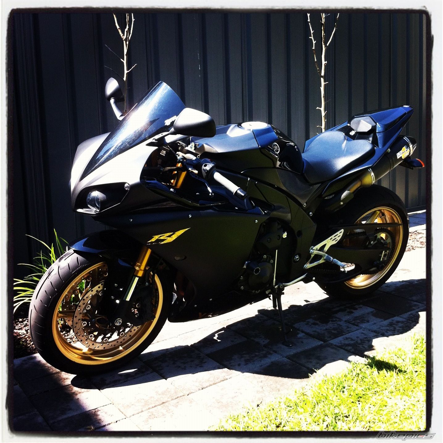 Photo 2338685