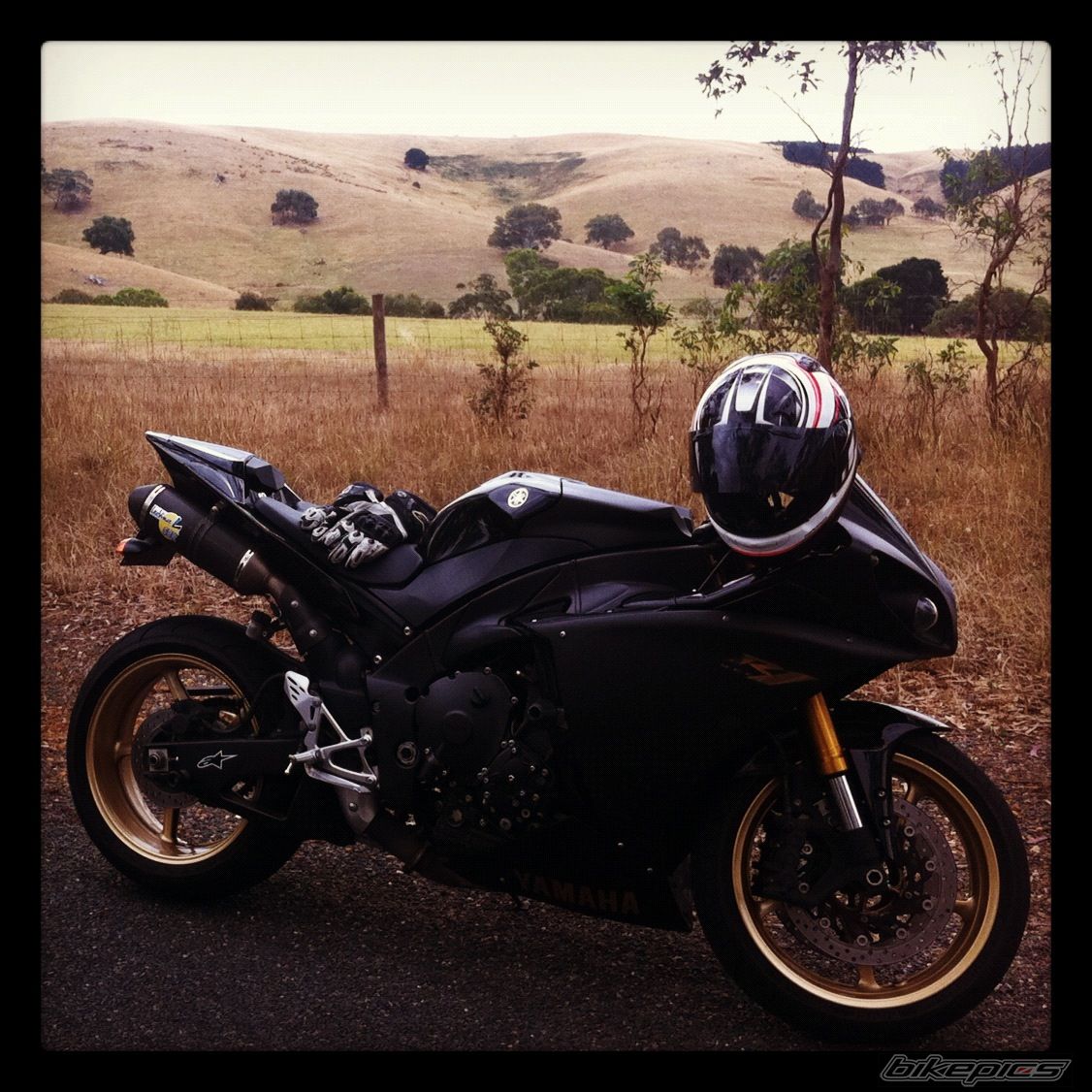 Photo 2338686