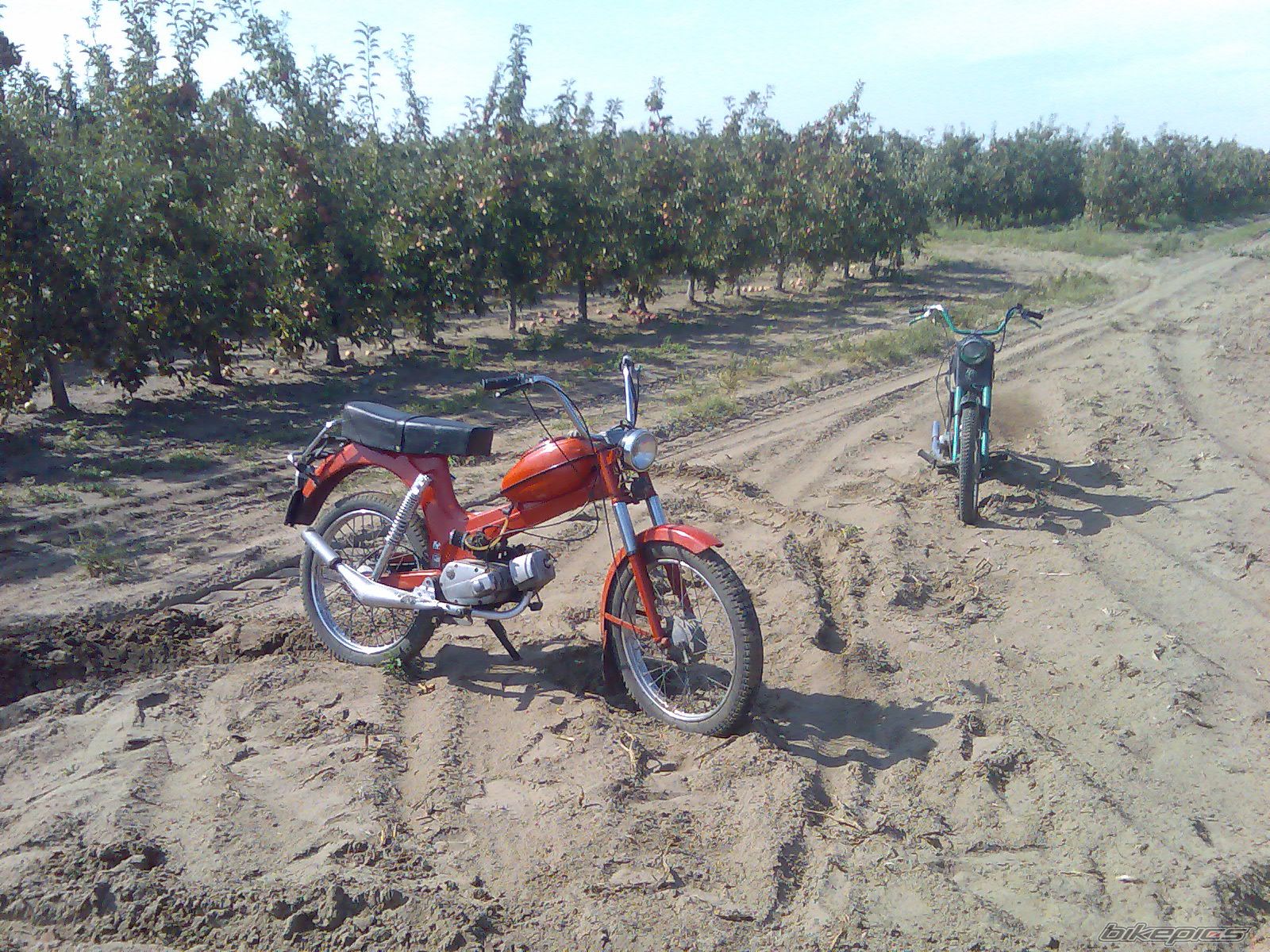 Photo 2338745