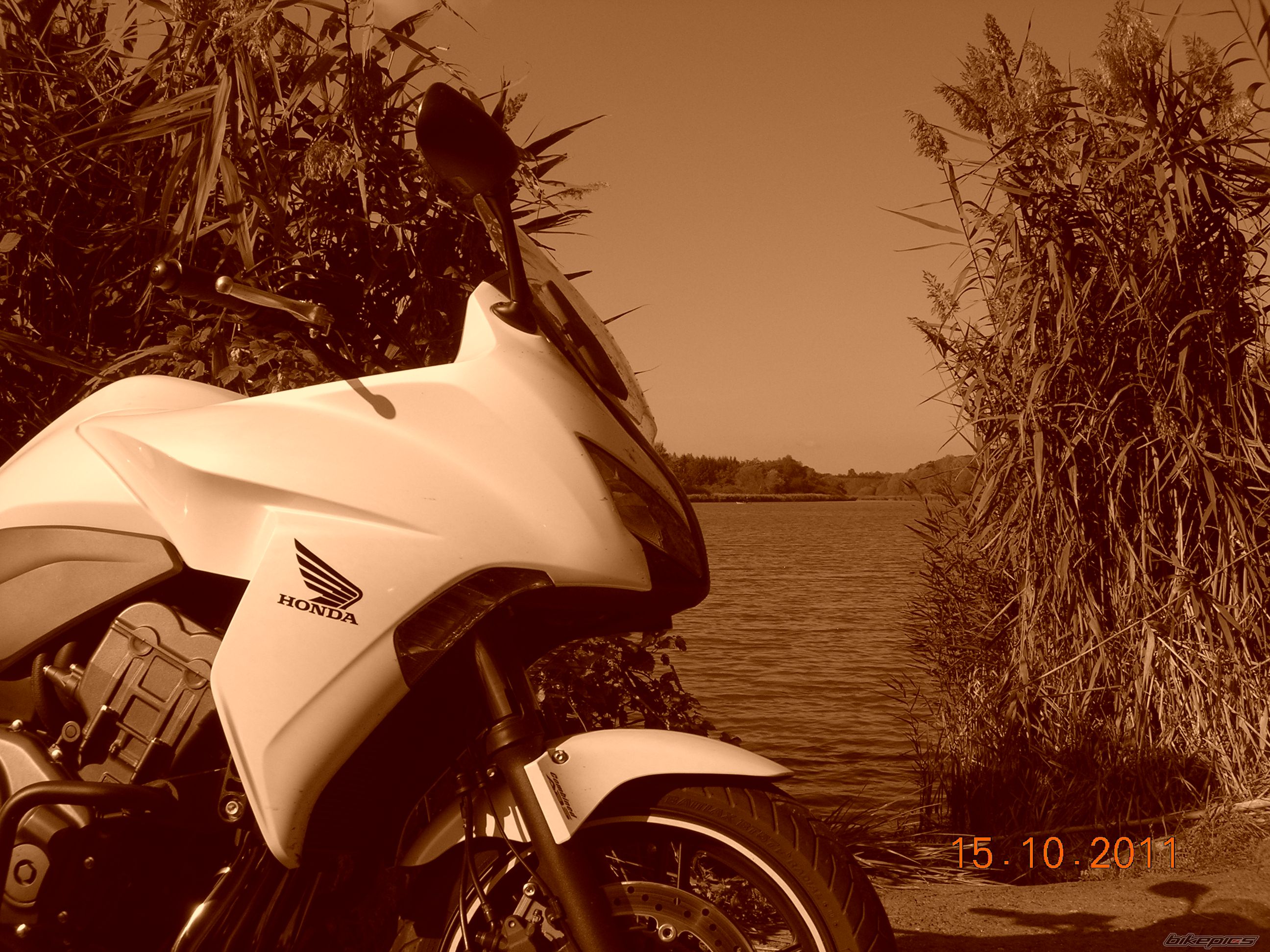 Photo 2338771