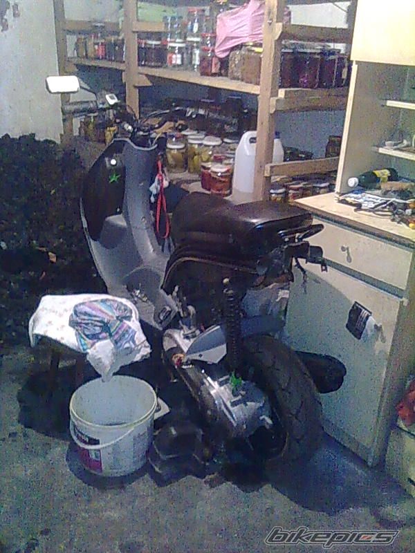 Photo 2338788