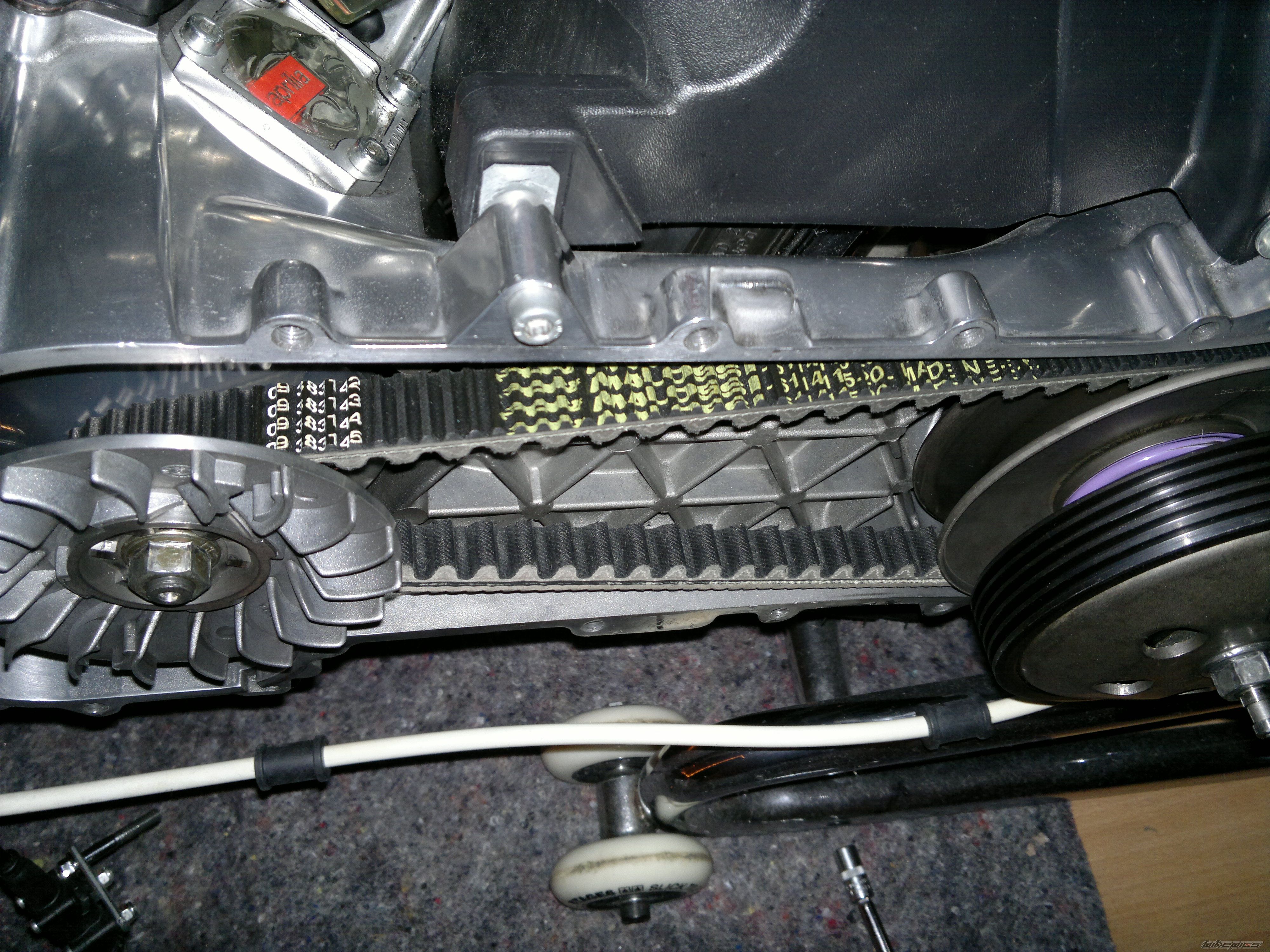 Photo 2338920