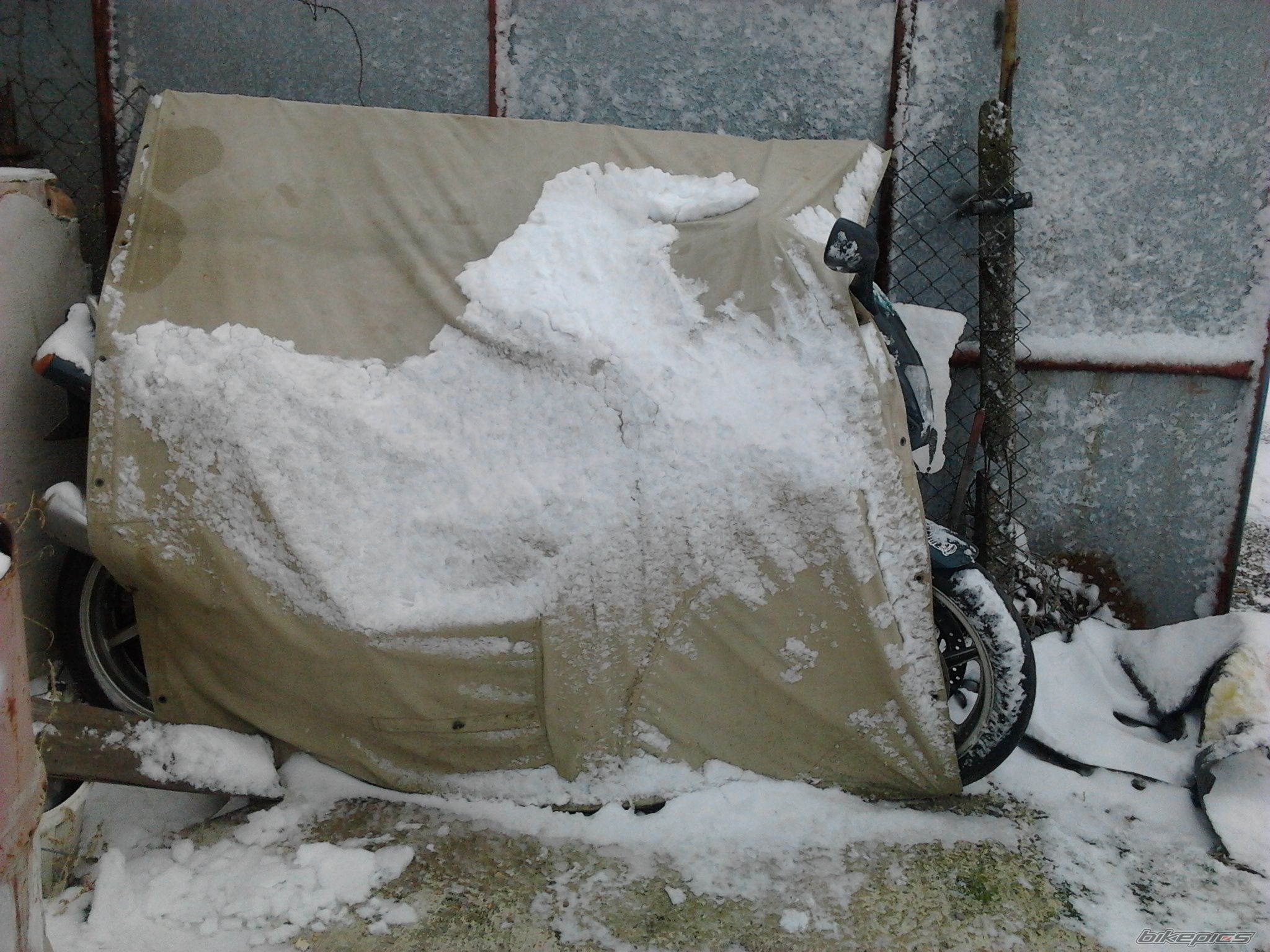 Photo 2338923