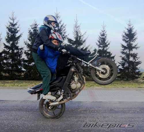 Photo 2338971