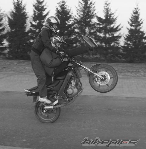 Photo 2338972