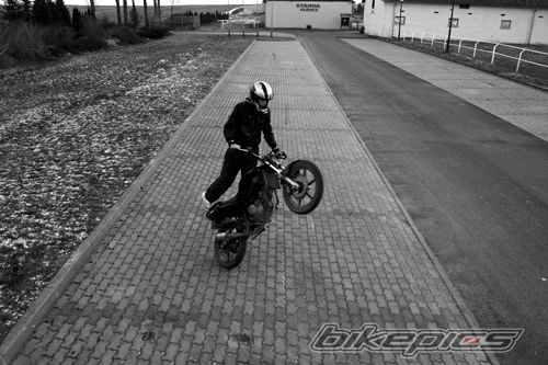 Photo 2338976