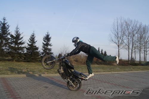 Photo 2339013