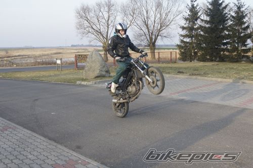 Photo 2339016