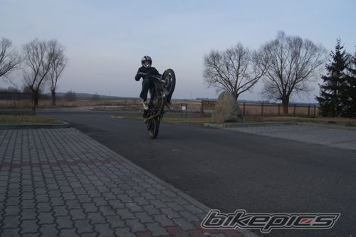 Photo 2339024