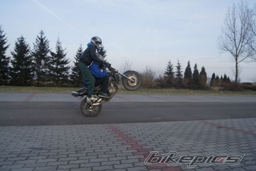 Photo 2339026