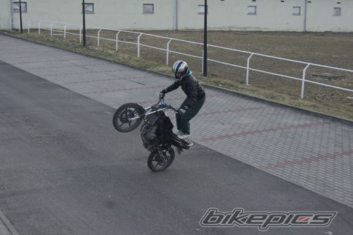 Photo 2339036