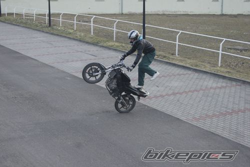 Photo 2339037