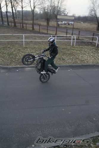 Photo 2339039