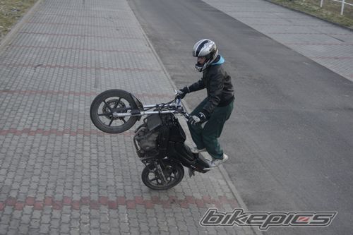 Photo 2339043