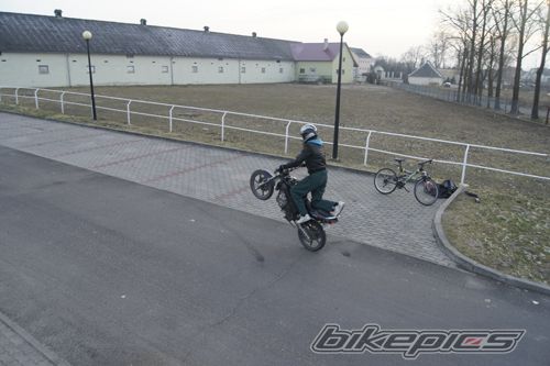 Photo 2339047