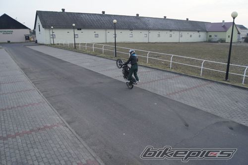 Photo 2339048