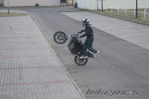 Photo 2339049