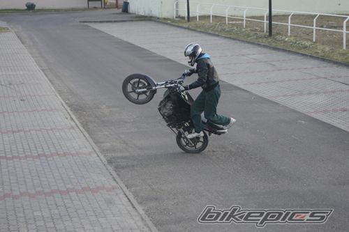 Photo 2339050
