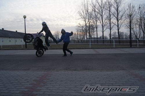 Photo 2339053