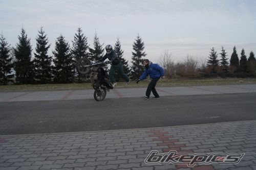 Photo 2339054