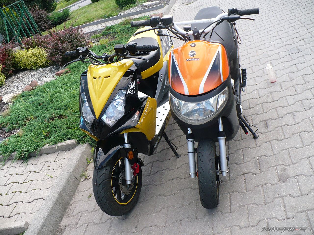 Photo 2339070