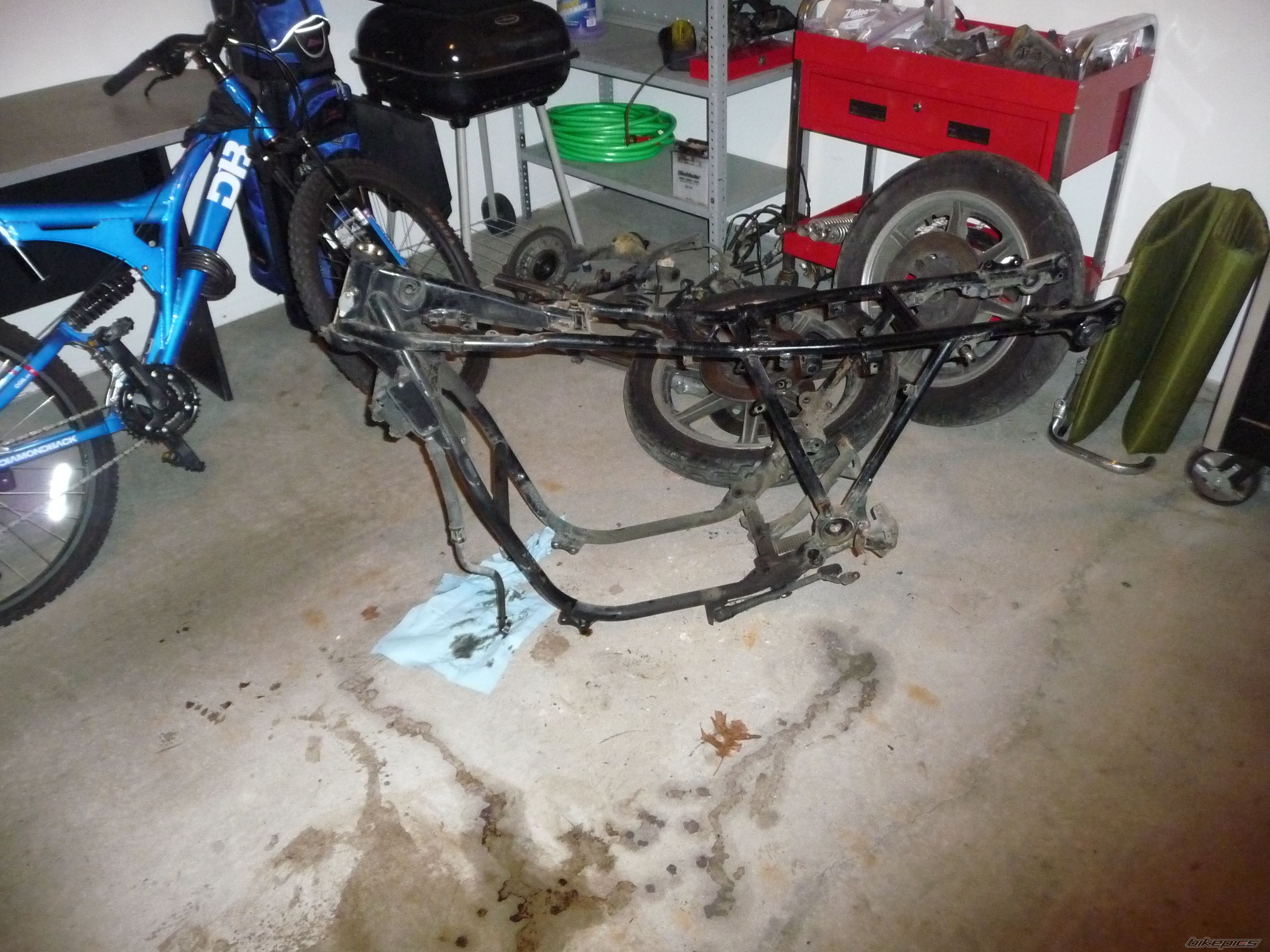 Photo 2339093