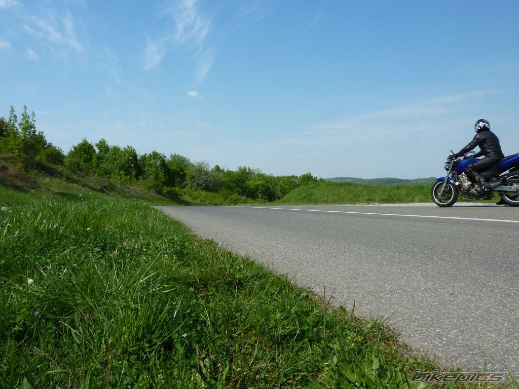 Photo 2339165