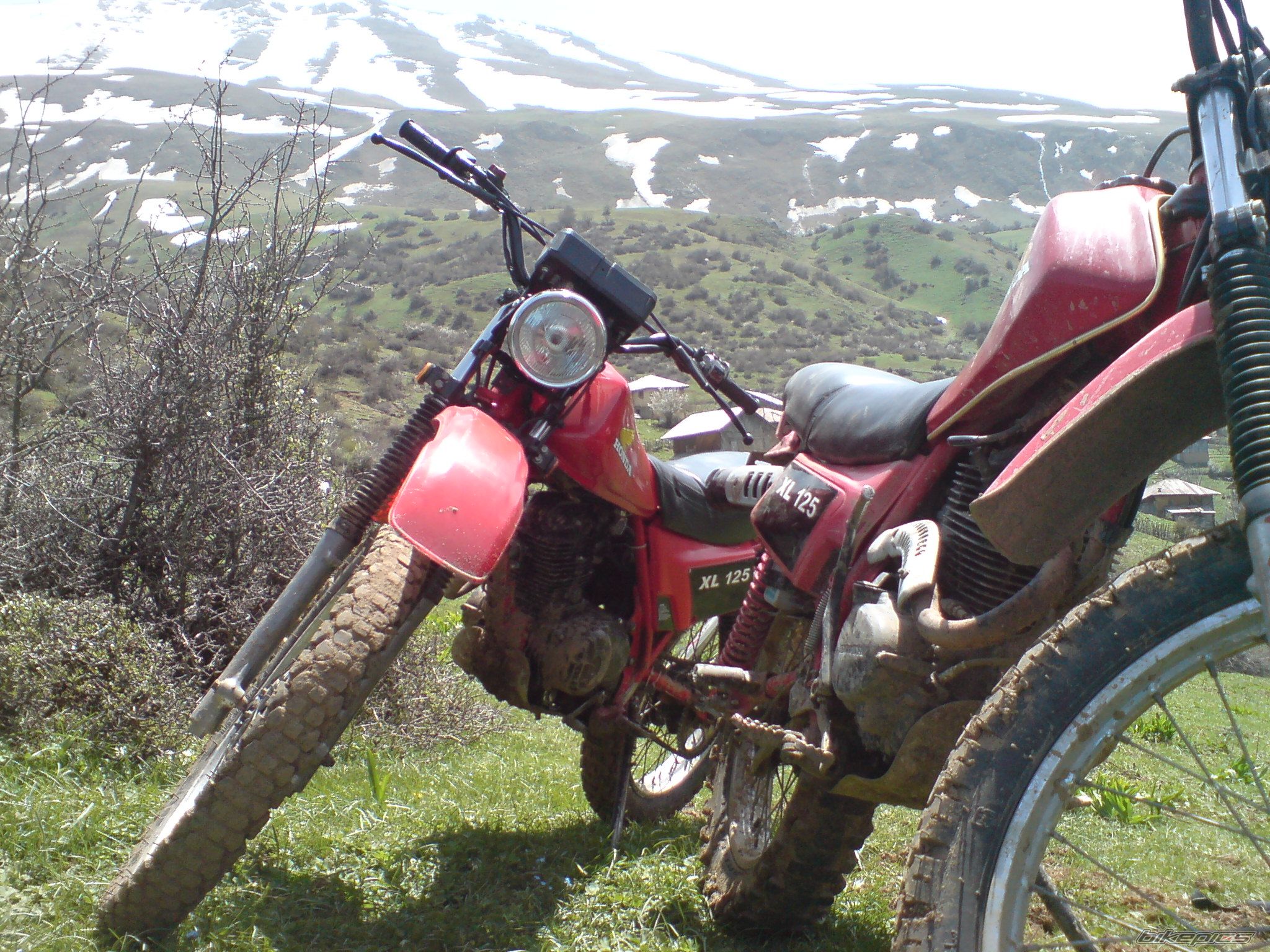 Photo 2339198
