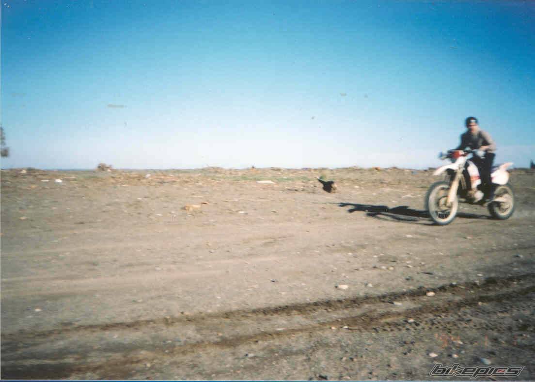 Photo 23392