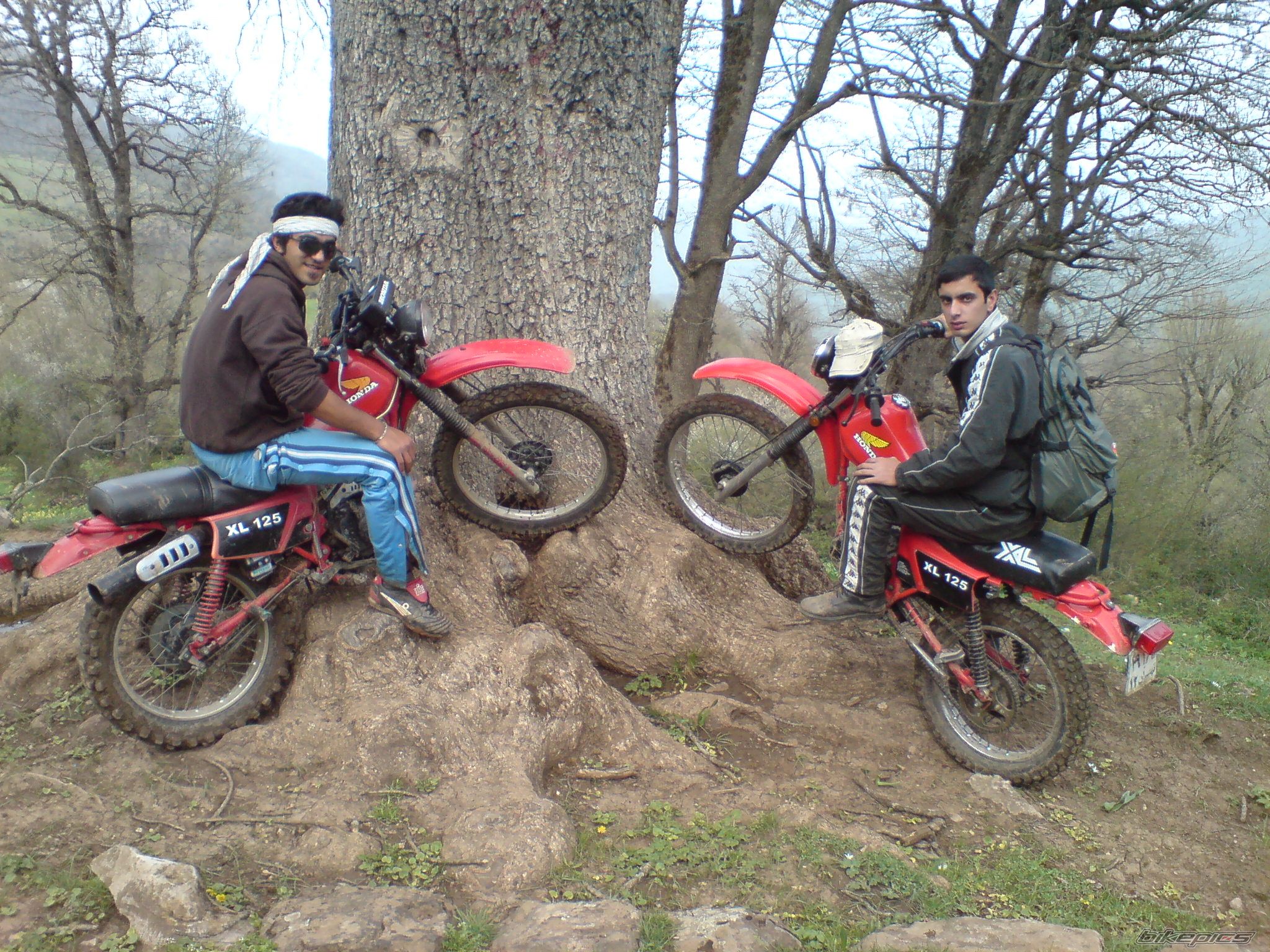 Photo 2339202