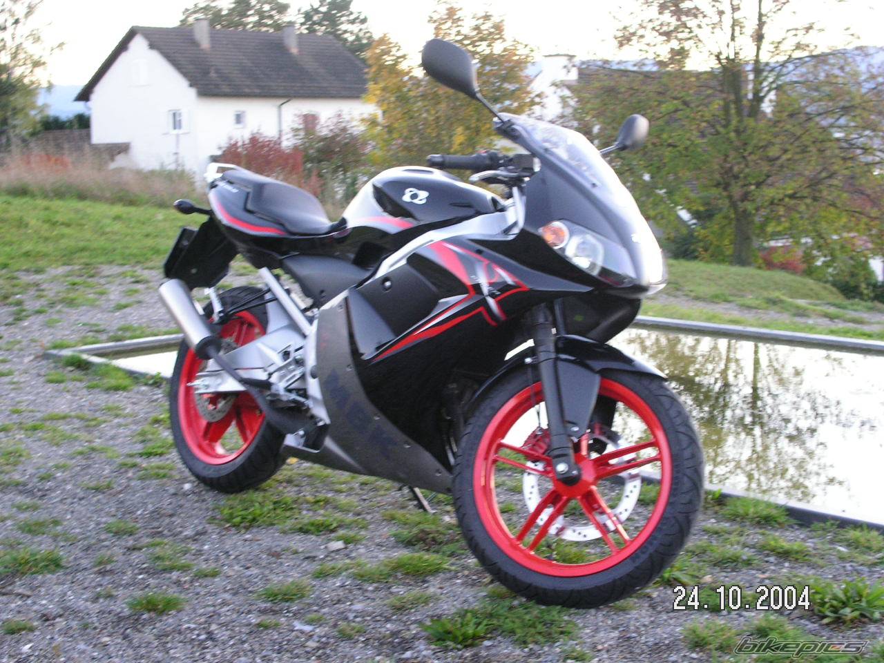 Photo 233921