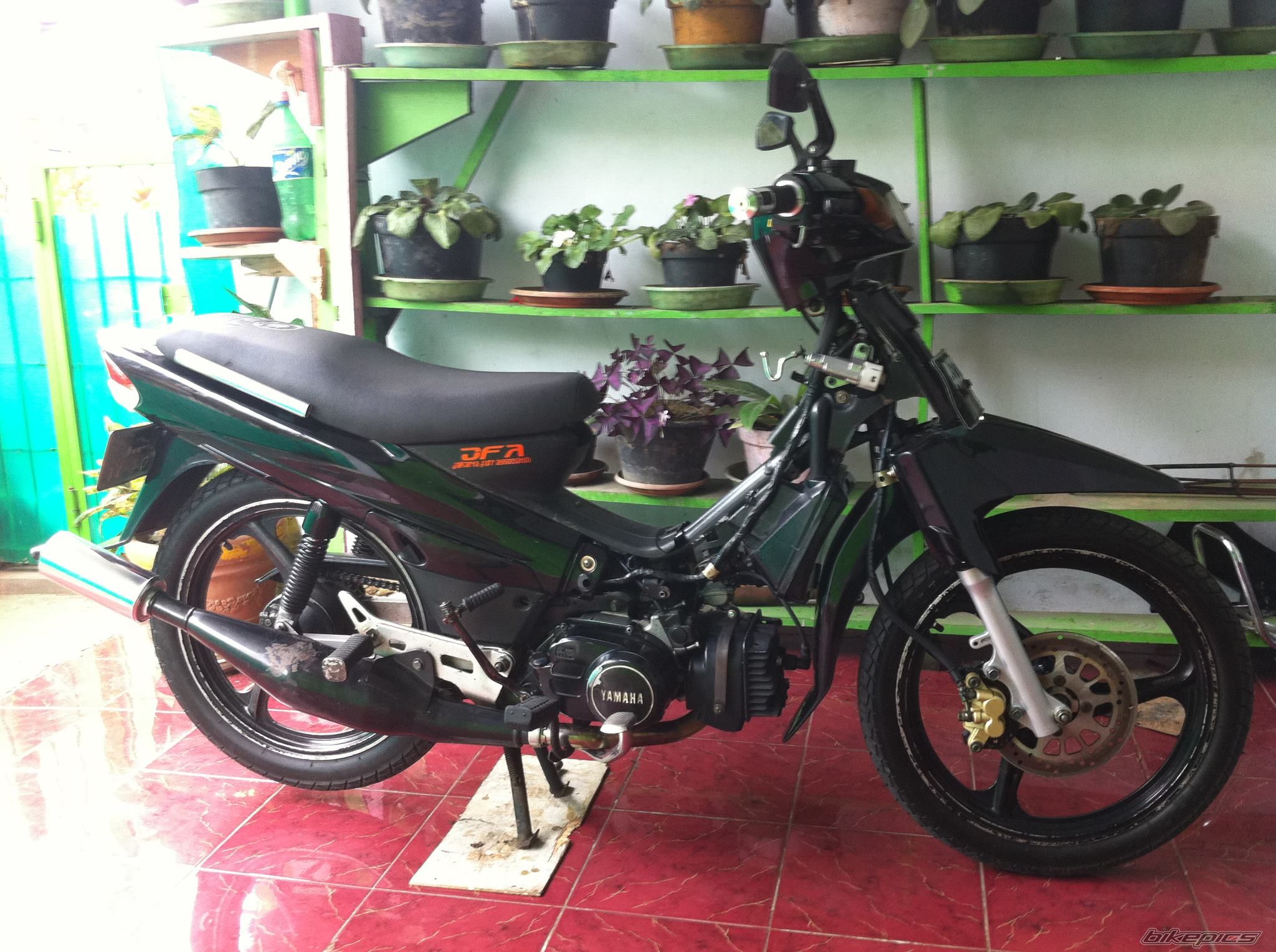 Photo 2339223