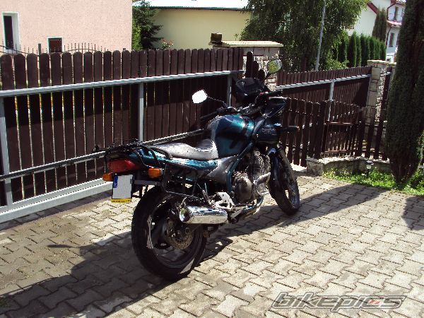 Photo 2339254