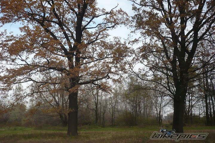 Bike Photo 2339359