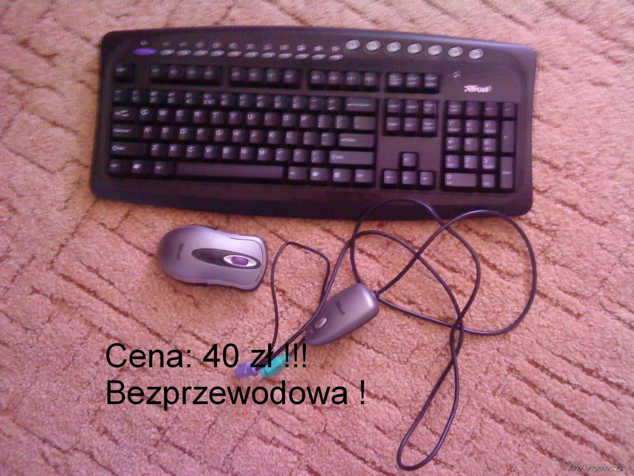Photo 2339420