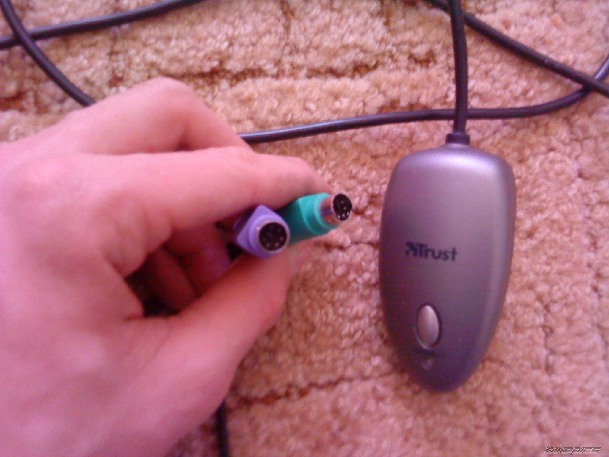 Photo 2339423