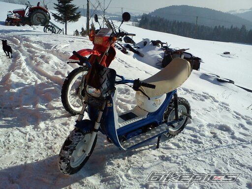 Photo 2339449