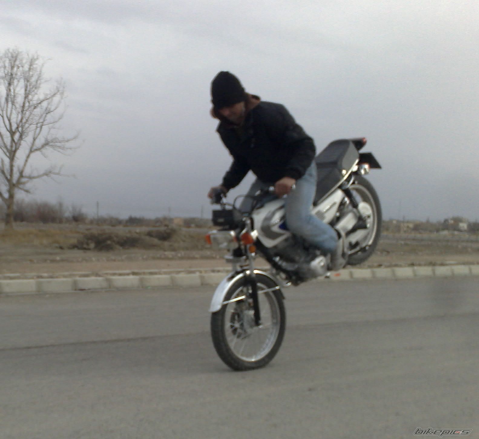 Photo 2339523